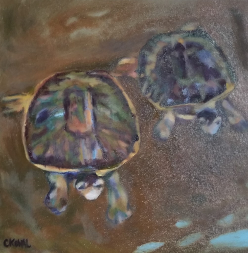 Two Turtles