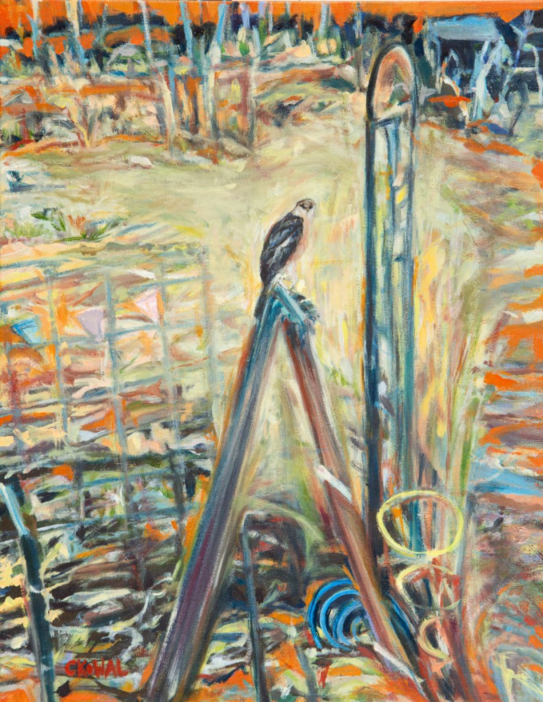 Garden Hawk