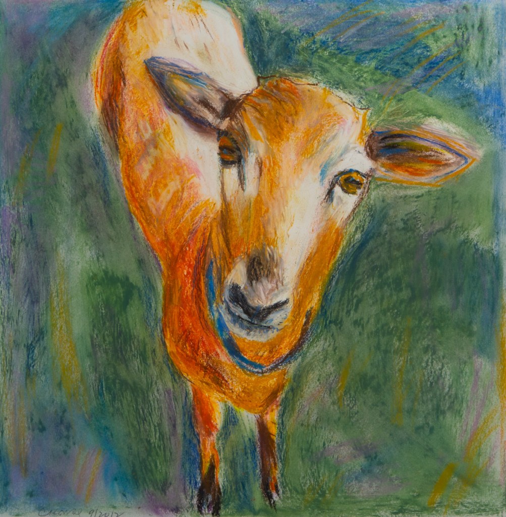 Young-Goat-Prudence